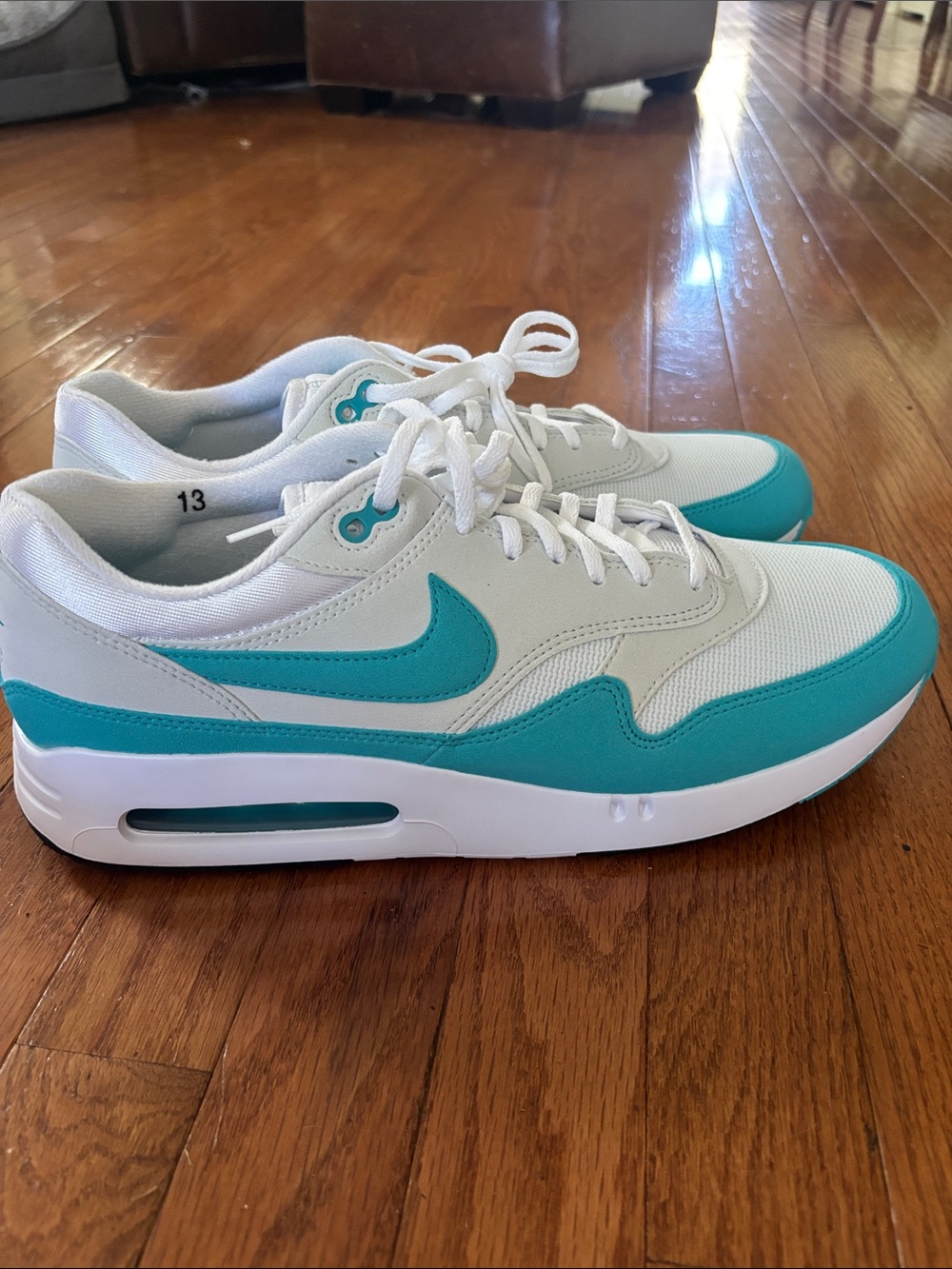 Nike Air Max 1
